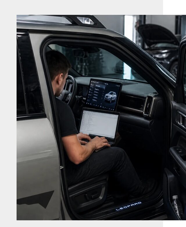 Русификация BYD Leopard 3 в Дюртюли по цене от 20746 р. | ФастМобиль-Дюр